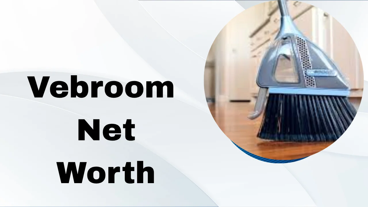 Vebroom Net Worth